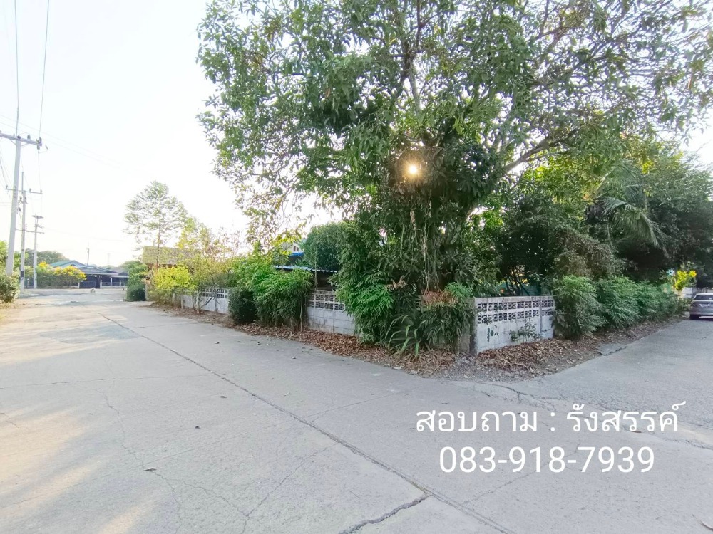 🎯 ขายบ้าน 1 ชั้น 2 ระดับ เนื้อที่ 179 ตรว. หลังมุม กว้าง 31 เมตร ลึก 22 เมตร สภาพดีพร้อมเข้าอยู่ วิวเขาใหญ่ ใกล้ตลาดหนองชะอม 📲 สนใจติดต่อ / Contact  คุณรังสรรค์ โทร. 083.918.7939 – รูปที่ 4