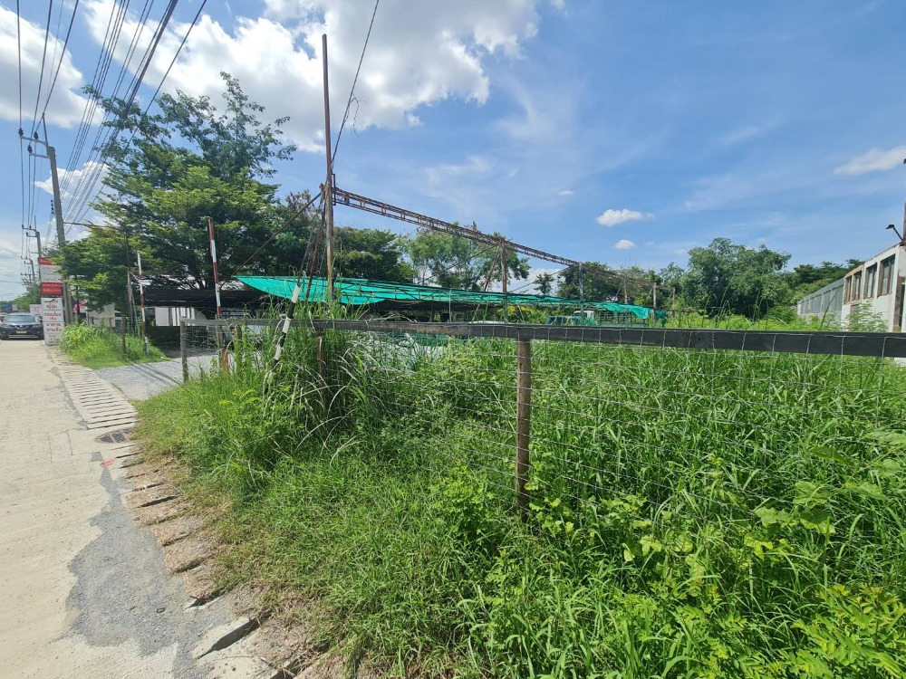 #ขายที่ดินเปล่าถมแล้ว ติดถนนบางม่วง-บางคูลัด(ซอยวัดพระเงิน) เนื้อที่ 480.4 ตร.ว. #ถนนกาญจนาภิเษก #ศาลากลาง #บางกรวย #นนทบุรี – รูปที่ 2
