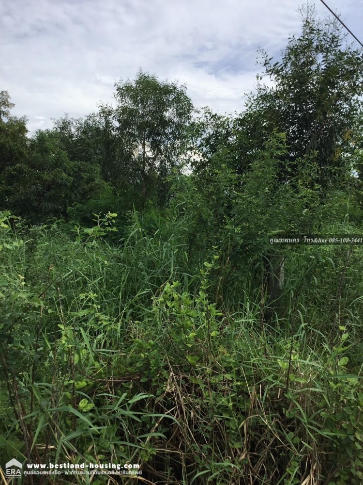 Land for sale, 5 rai, filled in, Khlong Song Subdistrict, Khlong Luang District, Pathum Thani – รูปที่ 4