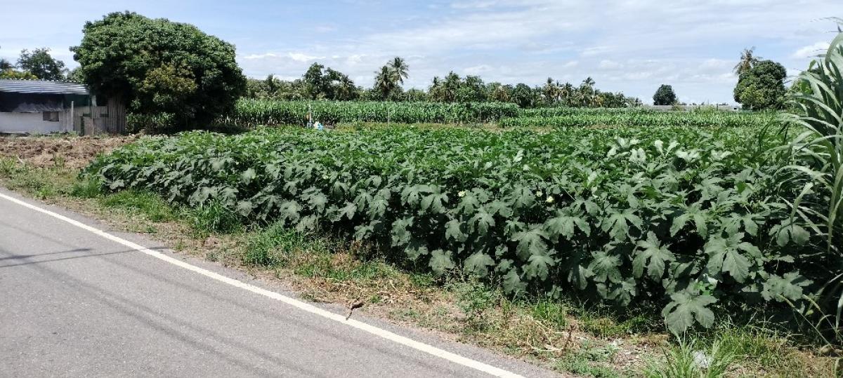 Express Land for sale in Tha Maka, Kanchanaburi Province – รูปที่ 3