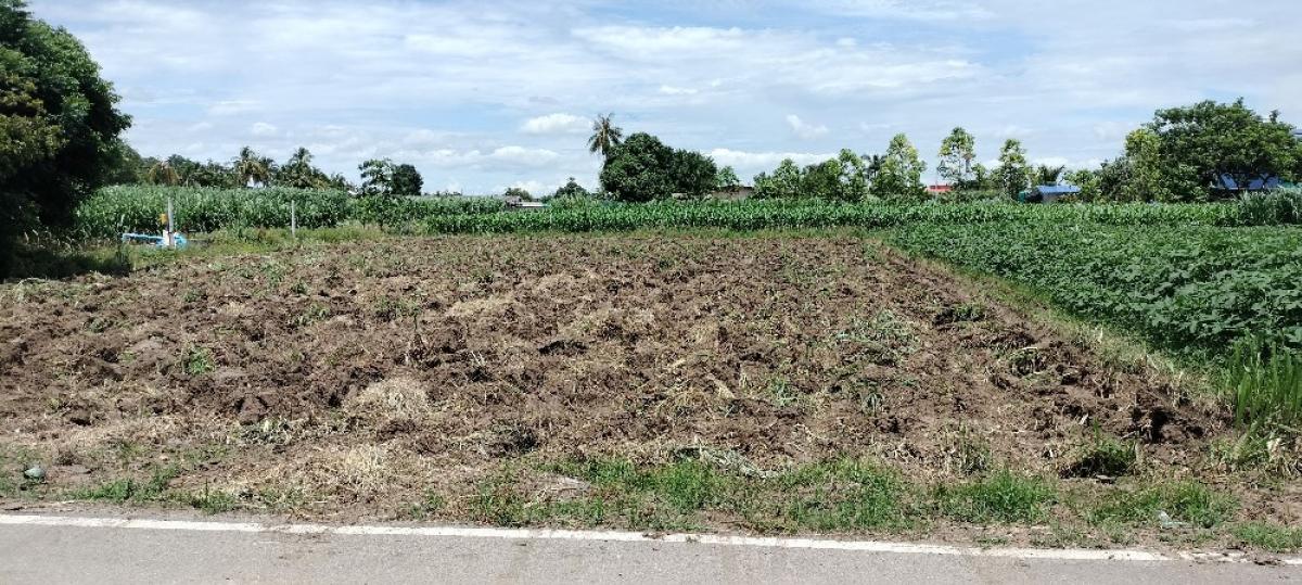 Express Land for sale in Tha Maka, Kanchanaburi Province – รูปที่ 2