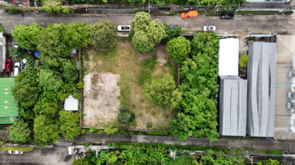 Land for sale in Sukhumvit101/1 yaek36 width 33m. 278sq.m. square plot Land for sale in Sukhumvit101/1 yaek36 width 33m. 278sq.m. square plot