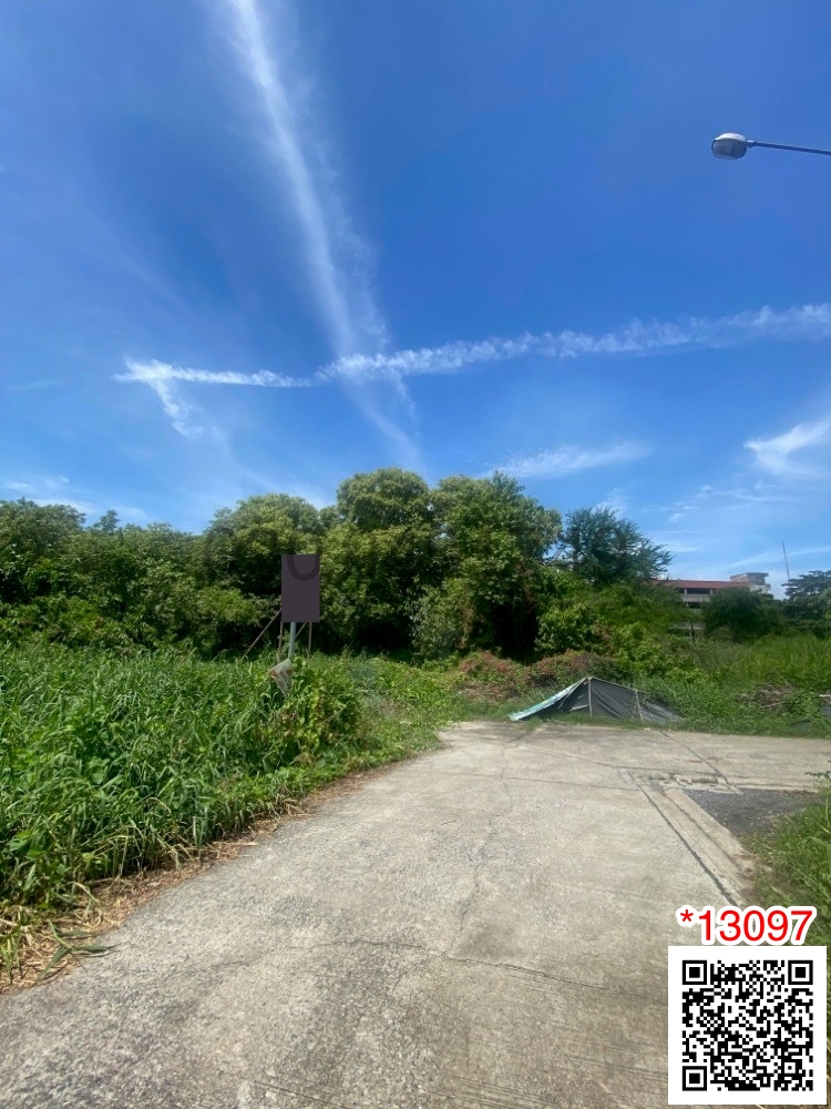 Land for rent, size 2 rai 1 ngan 15 square wa, Soi Petchkasem 77 – รูปที่ 2