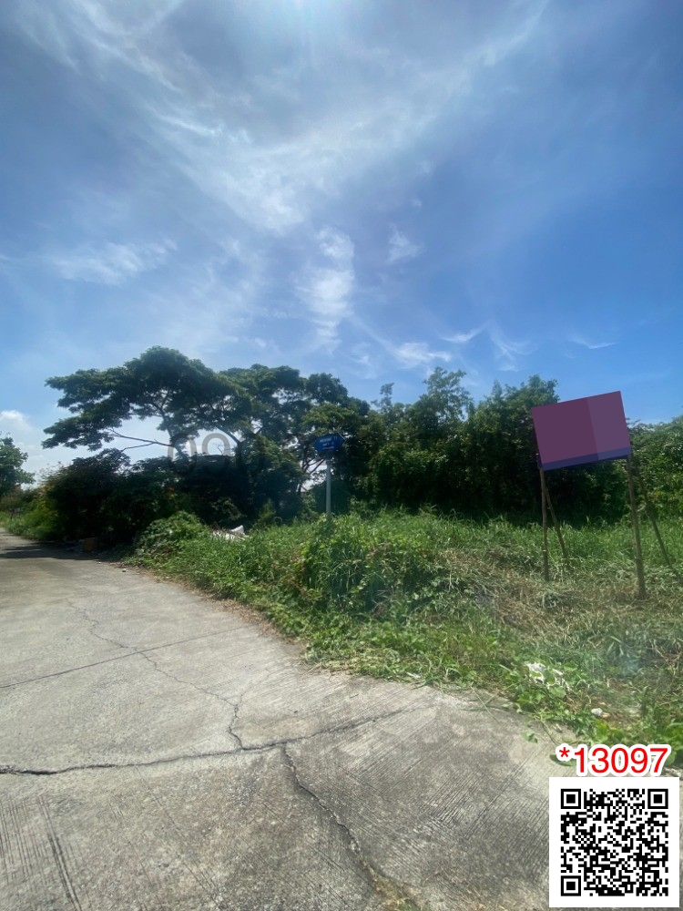 Land for rent, size 2 rai 1 ngan 15 square wa, Soi Petchkasem 77 – รูปที่ 3