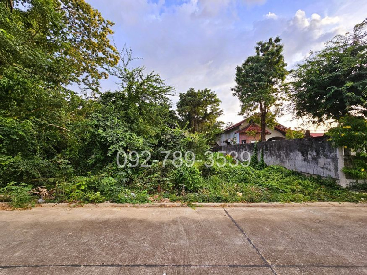 Land for sale in Phitsanulok, Chaiburi Road 1, 378 sq m, near Wat Aranyik Phitsanulok Land for sale in Phitsanulok, Chaiburi Road 1, 378 sq m, near Wat Aranyik Phitsanulok