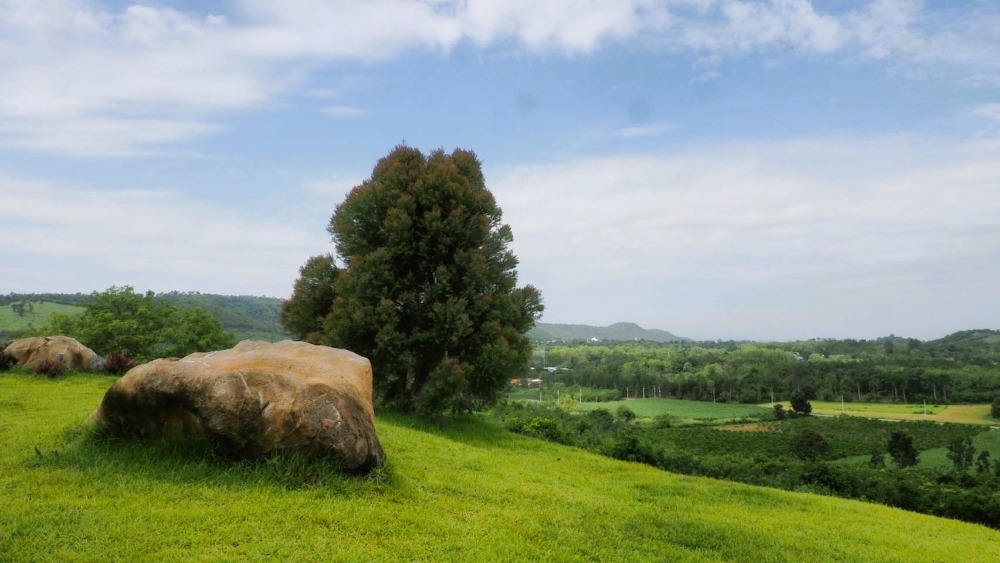 ขายที่ดินเขาใหญ่ ปากช่อง ที่ดินจัดสรรแบ่งแปลงขาย ทำเลทอง พร้อมวิว 360 องศา น้ำไฟพร้อม ถนนกว้าง 8 เมตร – รูปที่ 2