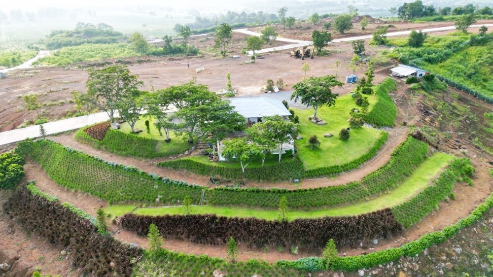 ขายที่ดินเขาใหญ่ ปากช่อง ที่ดินจัดสรรแบ่งแปลงขาย ทำเลทอง พร้อมวิว 360 องศา น้ำไฟพร้อม ถนนกว้าง 8 เมตร – รูปที่ 3