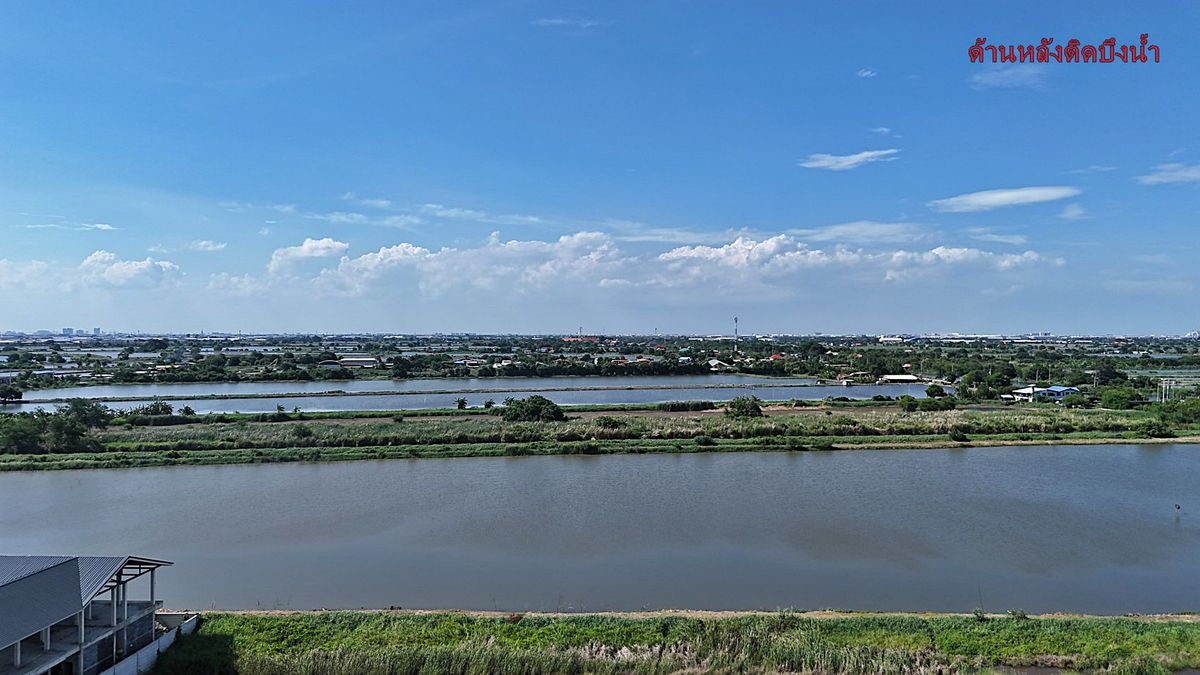 Land for rent, Bang Pu 113, area 2 rai 2 ngan, Soi Wat Rat Bamrung, near Suvarnabhumi Canal Road – รูปที่ 3