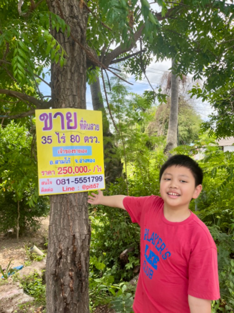 Land for sale in Sam Ko District, Ang Thong Province, 250,000 baht per rai. – รูปที่ 2