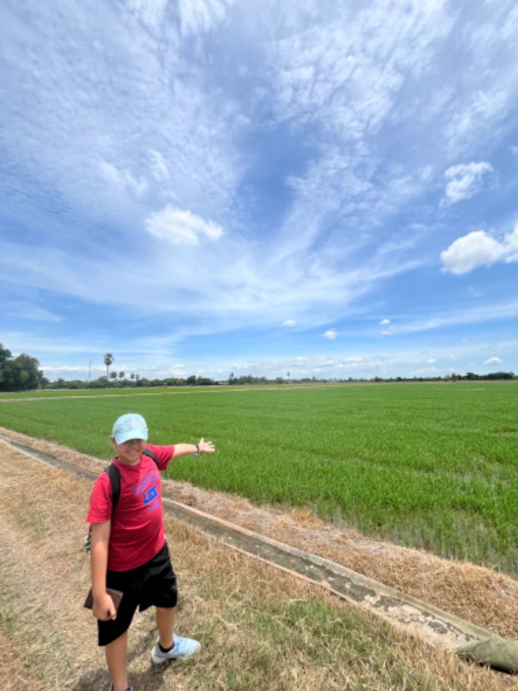 Land for sale in Sam Ko District, Ang Thong Province, 250,000 baht per rai.