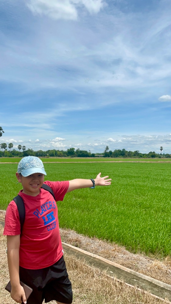 Land for sale in Sam Ko District, Ang Thong Province, 250,000 baht per rai. – รูปที่ 3