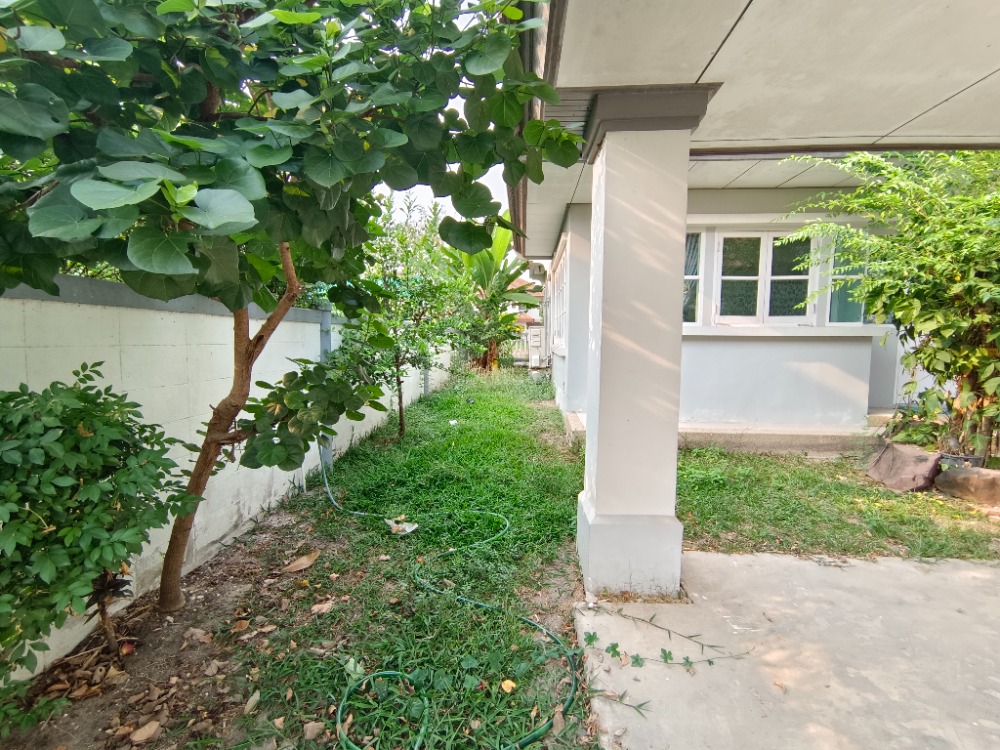 ให้เช่า บ้านเดี่ยว ชวนชื่น กอล์ฟ อเวนิว 100 ตร.วา. แต่งสวย บิ้วอิน พร้อมเฟอร์ เครื่องใช้ไฟฟ้า สวยพร้อมอยู่ ทำเล ใกล้สนามกอล์ฟ แยกบางคูวัด-ปทุมธานี – รูปที่ 4