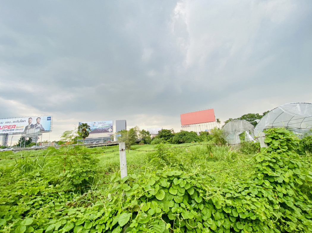 ขาย ที่ดิน ราคาถูก ประชาชื่น 37 เนื้อที่ 7 ไร่ 91.4 ตรว – รูปที่ 4