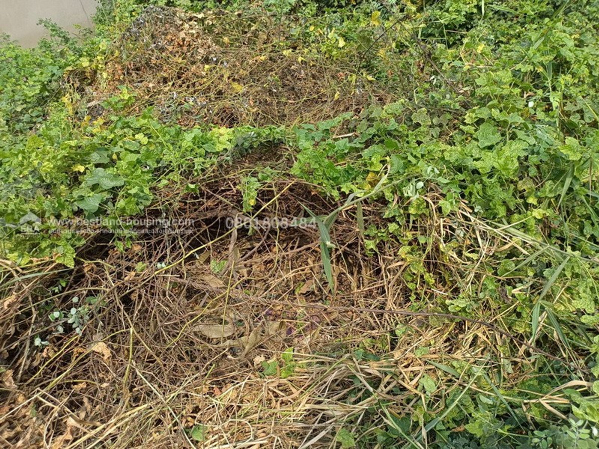 Beautiful land for sale, 79 sq m, on the main road Lam Luk Ka, near the BTS Khu Khot station, already filled in. – รูปที่ 3