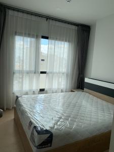for rent Tree 71 1 bed plus super deal ❤️☘️⭐️