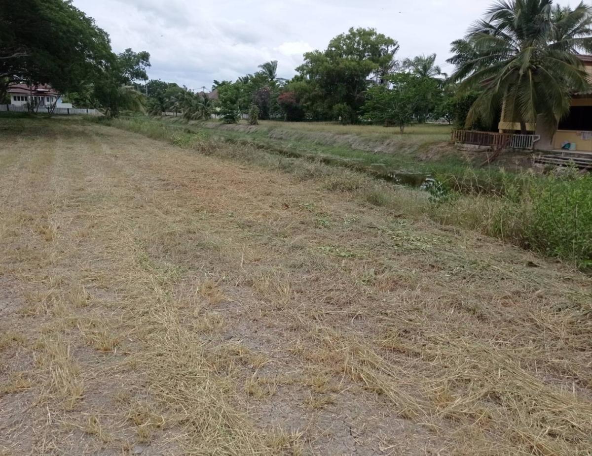 ขายที่ดิน 96 ตร.วา จ.เพชรบุรี โครงการเจ้าสำราญเลคแอนด์ฮิลล์ เพื่อการพักผ่อน บรรยากาศดีมาก สงบ มีความเป็นส่วนตัว ขายที่ดิน 96 ตร.วา จ.เพชรบุรี โครงการเจ้าสำราญเลคแอนด์ฮิลล์ เพื่อการพักผ่อน บรรยากาศดีมาก สงบ มีความเป็นส่วนตัว