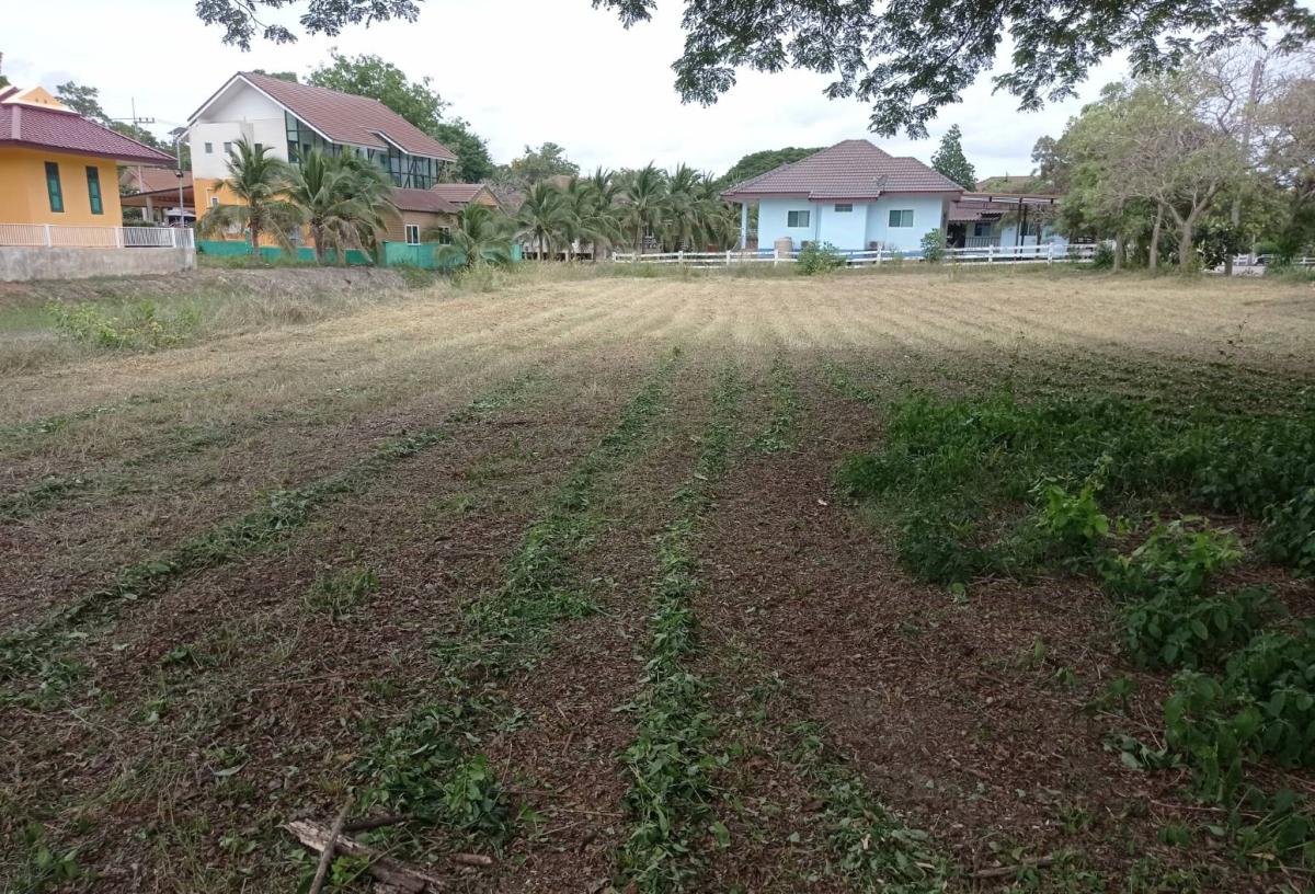 Land for sale 96 sq.w., Phetchaburi Province, Chao Samran Lake and Hill Project For relaxation The atmosphere is very good, peaceful, private. – รูปที่ 3
