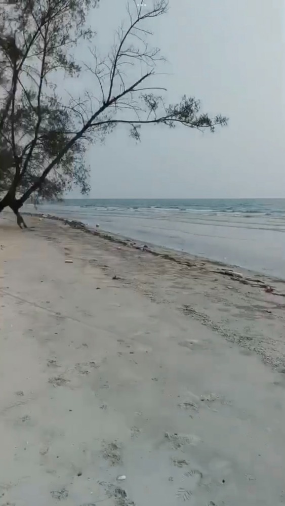 ขายที่ดินแปลงสวยติดทะเล หาดทรายสวย (หาดไพลิน) คลองใหญ่ 12 ไร่ เศษ ด้านหน้าติดทะเล 24 เมตร ด้านหลังติดทางสาธารณประโยชน์ (ถนนร่วมใจอนุสรณ์) 98 เมตร ขายที่ดินแปลงสวยติดทะเล หาดทรายสวย (หาดไพลิน) คลองใหญ่ 12 ไร่ เศษ ด้านหน้าติดทะเล 24 เมตร ด้านหลังติดทางสาธารณประโยชน์ (ถนนร่วมใจอนุสรณ์) 98 เมตร