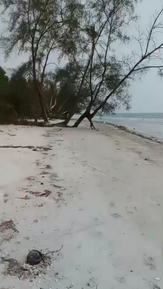 ขายที่ดินแปลงสวยติดทะเล หาดทรายสวย (หาดไพลิน) คลองใหญ่ 12 ไร่ เศษ ด้านหน้าติดทะเล 24 เมตร  ด้านหลังติดทางสาธารณประโยชน์ (ถนนร่วมใจอนุสรณ์)  98 เมตร – รูปที่ 3