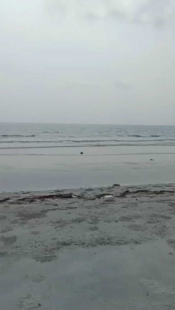 ขายที่ดินแปลงสวยติดทะเล หาดทรายสวย (หาดไพลิน) คลองใหญ่ 12 ไร่ เศษ ด้านหน้าติดทะเล 24 เมตร  ด้านหลังติดทางสาธารณประโยชน์ (ถนนร่วมใจอนุสรณ์)  98 เมตร – รูปที่ 4