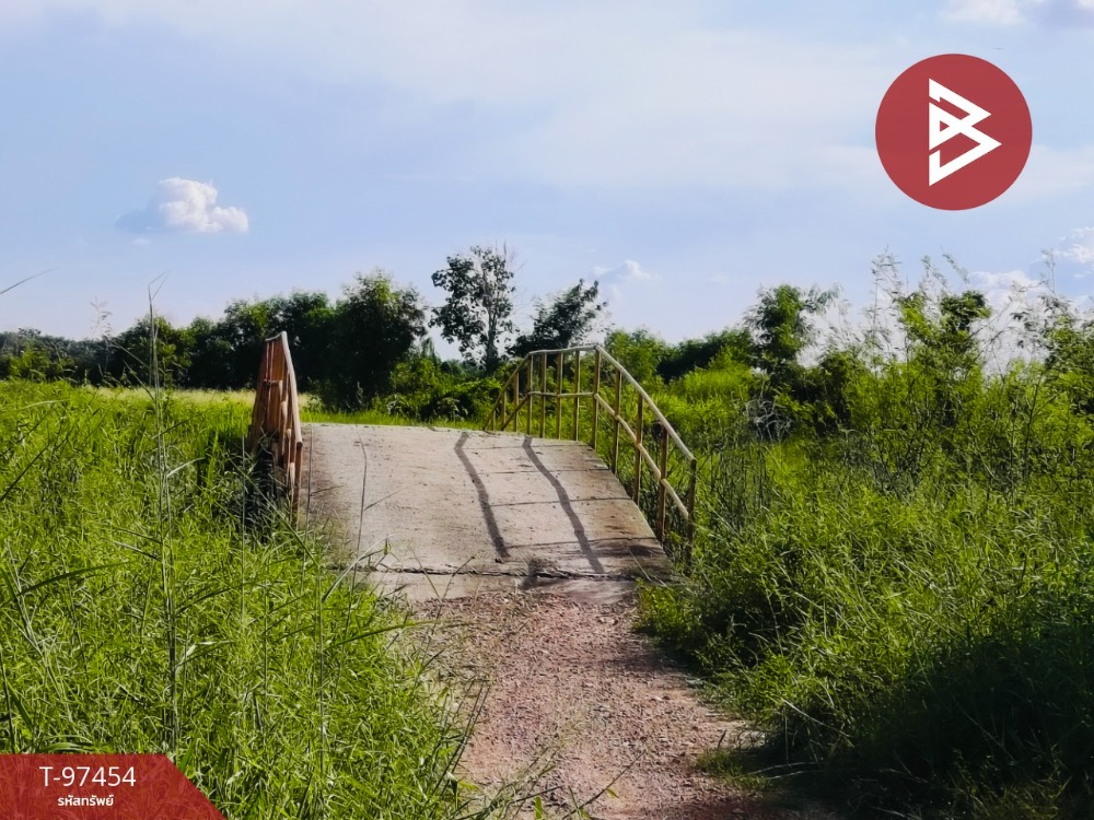 ขายที่ดิน เนื้อที่ 2 ไร่ องครักษ์ นครนายก – รูปที่ 4