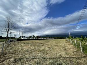 📢💰Selling the whole plot of land in Khao Yai, Mu Si (divided into 8 plots of red Garuda title deeds, NS4C), with a view of the large mountain range, accessible from Thanarat Road, only 7 km.