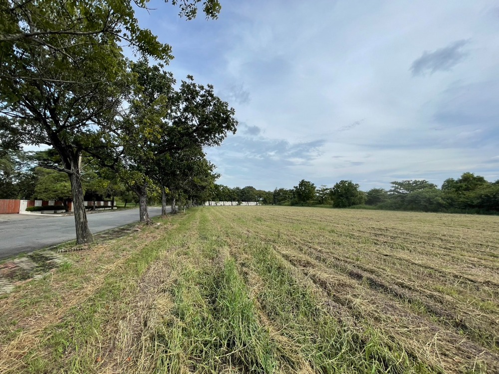 Beautiful land plot, already filled, size 1 rai, plus a house plan worth 7 hundred thousand baht, there is a project to cut grass every month, no flooding, only 15 minutes from Suvarnabhumi Airport