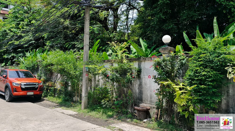ขายที่ดิน สุขุมวิท 63 เอกมัย ในซอยย่อย ขนาด 600 ตร.วา 600,000/ตร.วา – รูปที่ 2