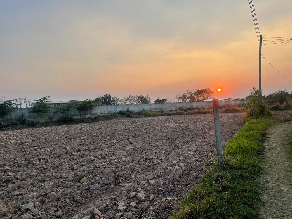 Land for sale near Thai Watsadu Buriram Land for sale near Thai Watsadu Buriram