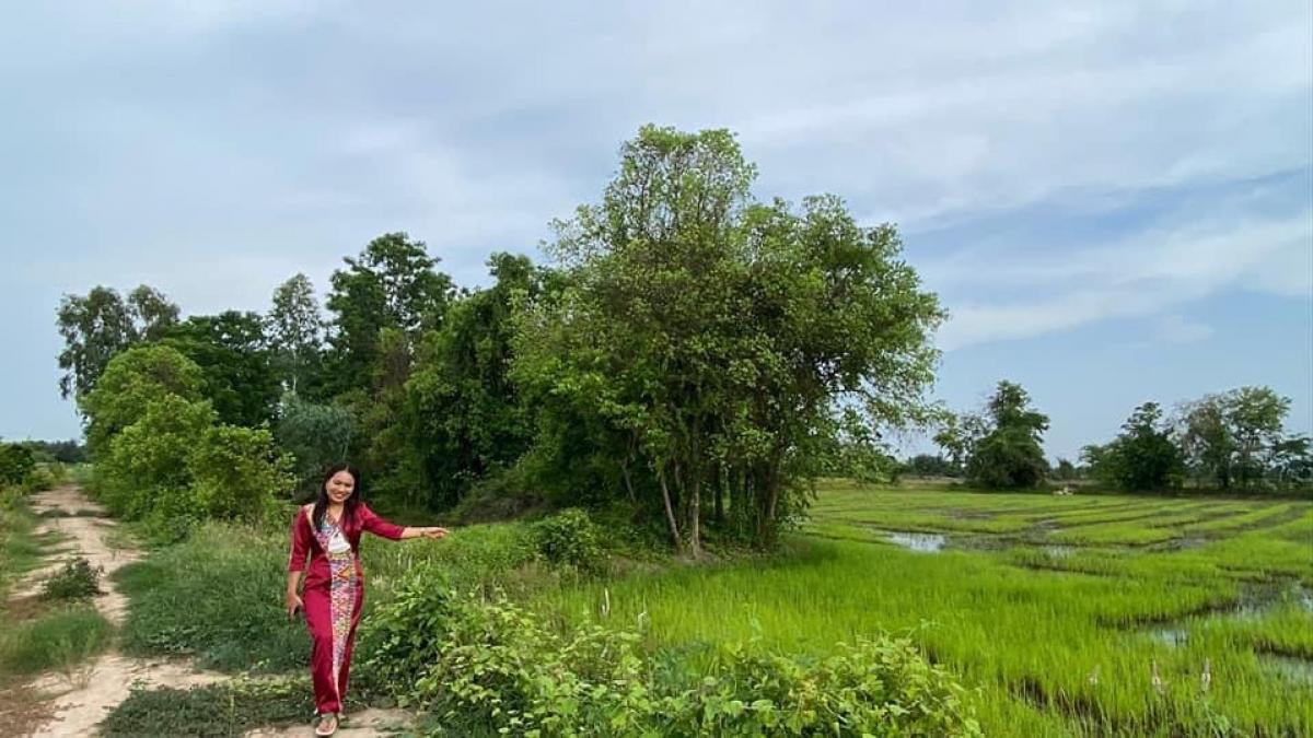 ที่ดินวังทอง​ พิษณุโลก​ 3​ ไร่​ ​ปลูกต้นก้ามปูต้นไม้รักษ์โลกทิ้งไว้เลยก็ดีนะ ร่มรื่นร่มเย็น หรือจะทำนาฉ่ำ ๆ ปลูกพืชผักสวนครัว ส่งตลาดวังทอง  หรือสร้างบ้านสันโดดก็เริสนะคะ สร้างอาณาจักรทฤษฎีเศรษฐกิจพอเพียงในหลวงรัชกาลที่9 ยิ่งเลิศ – รูปที่ 2