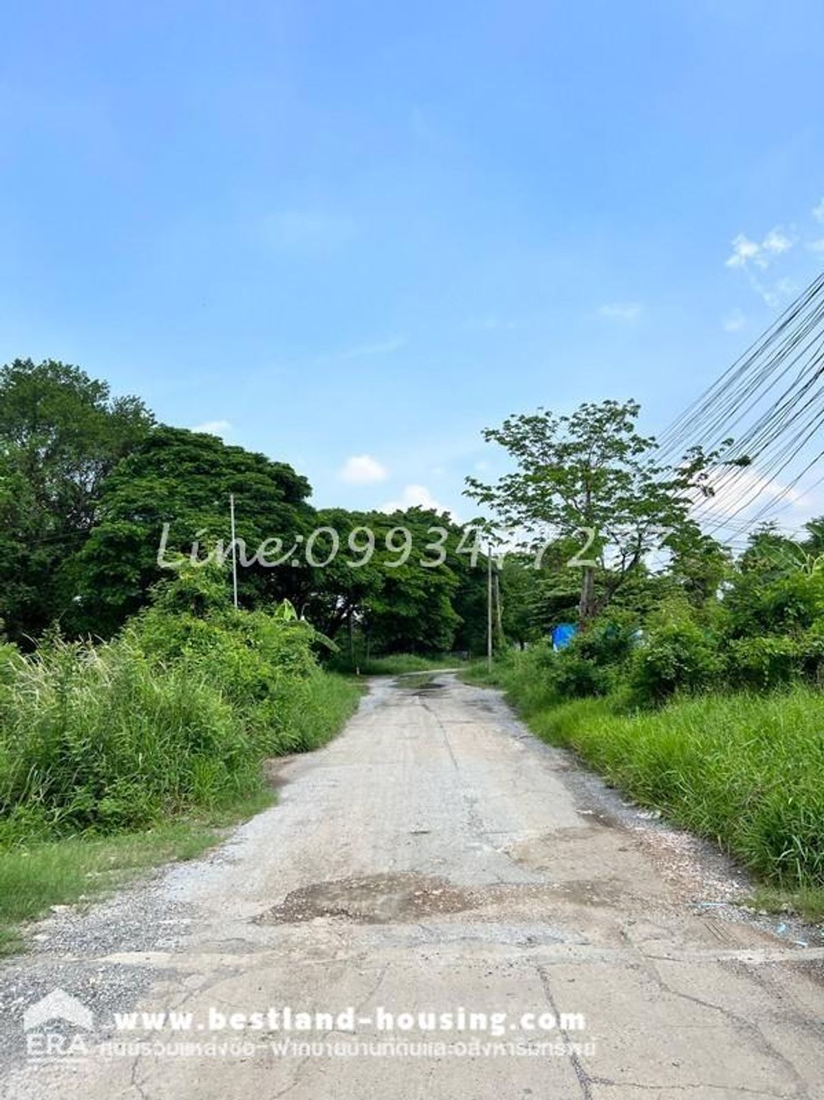 ขายที่ดิน97ตร.วา หมู่บ้าน เมืองทอง การ์เด้นส์ พัฒนาการ ถนนพัฒนาการ69 เขตประเวศ เหมาะสำหรับปลูกบ้านอยู่อาศัย – รูปที่ 4