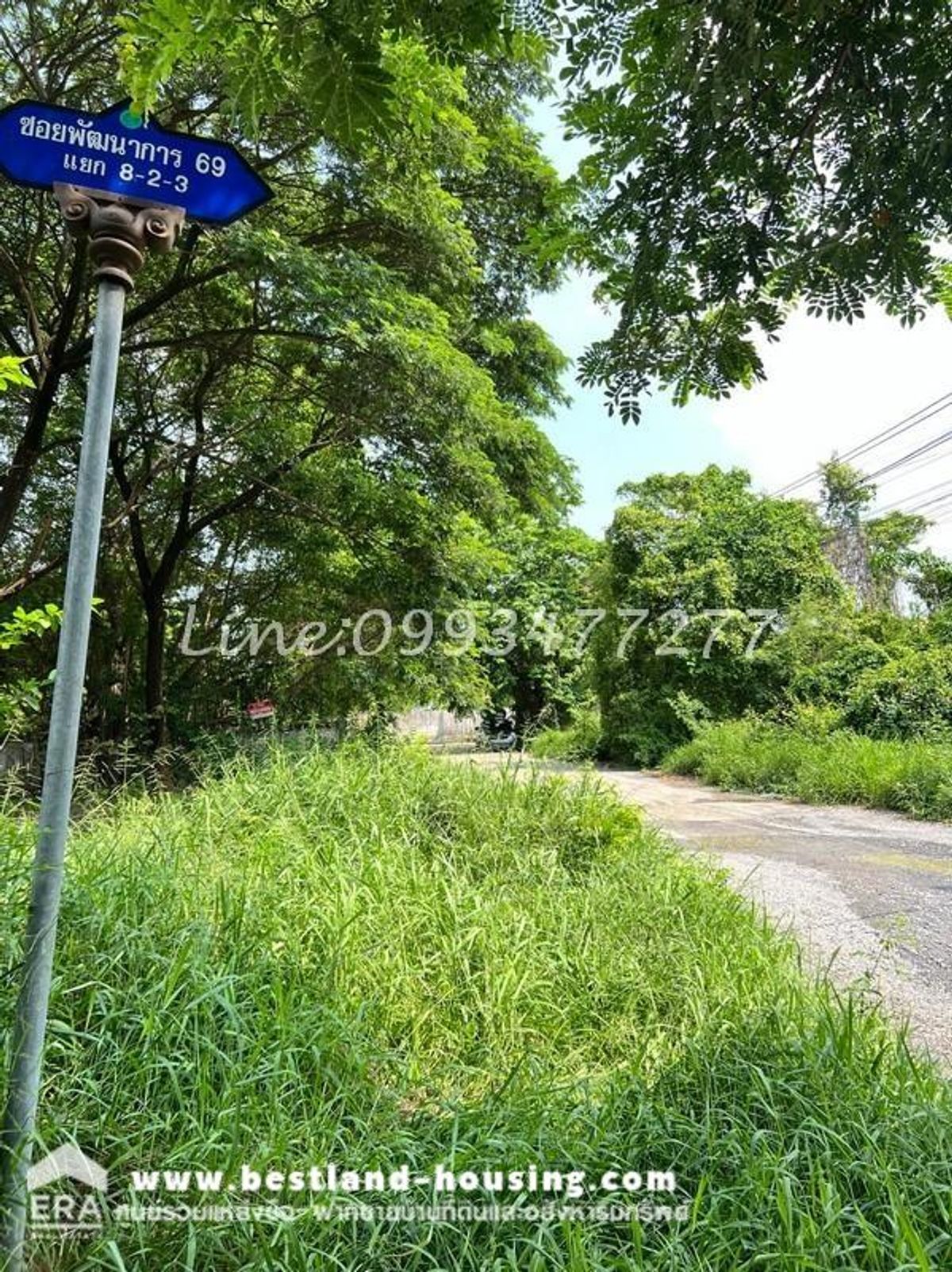 ขายที่ดิน97ตร.วา หมู่บ้าน เมืองทอง การ์เด้นส์ พัฒนาการ ถนนพัฒนาการ69 เขตประเวศ เหมาะสำหรับปลูกบ้านอยู่อาศัย – รูปที่ 2