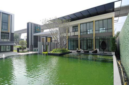 ประกาศขาย Flora วงศ์สว่าง ทาวน์โฮมติดถนนกรุงเทพนนท์ ใกล้สถานีรถไฟฟ้าแยกติวานนท์ – รูปที่ 2
