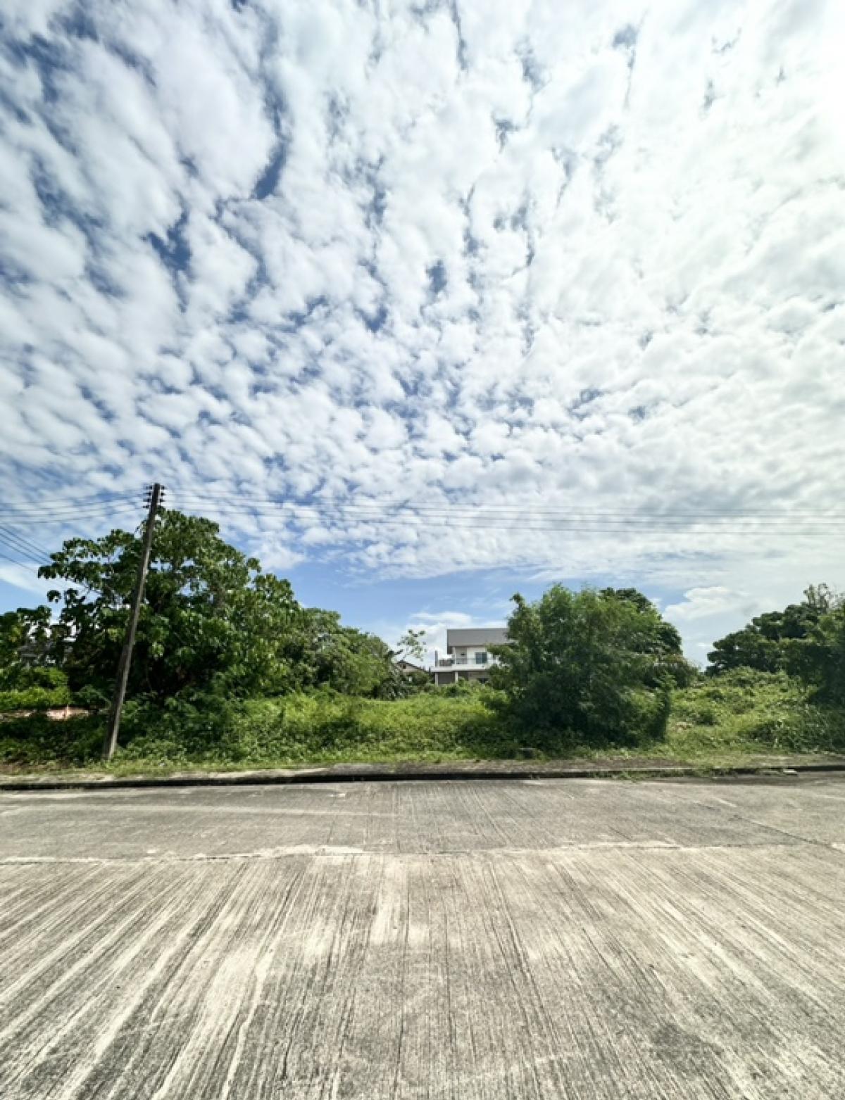 Beautiful corner plot of land in Siam Nakhon Thani Village 🌟 Ready to build a beautiful house, Mueang District, Nakhon Si Thammarat Province Beautiful corner plot of land in Siam Nakhon Thani Village 🌟 Ready to build a beautiful house, Mueang District, Nakhon Si Thammarat Province