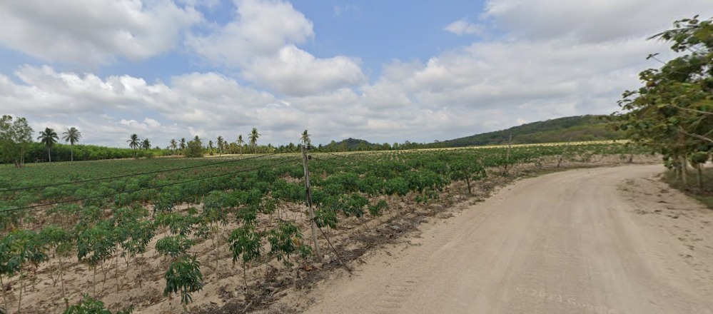 Land for sale, Ban Chang, Rayong, size 10 rai, Sor Por Bor 5, suitable for agriculture or long-term investment. Land for sale, Ban Chang, Rayong, size 10 rai, Sor Por Bor 5, suitable for agriculture or long-term investment.