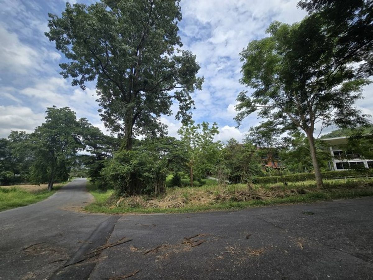 ขายที่ดินแปลงมุม 289.9 ตร.ว โครงการภูภัทรา ปากช่อง – เขาใหญ่ ติดถนน 2 ด้าน วิวธรรมชาติ ใกล้แหล่งท่องเที่ยว – รูปที่ 3