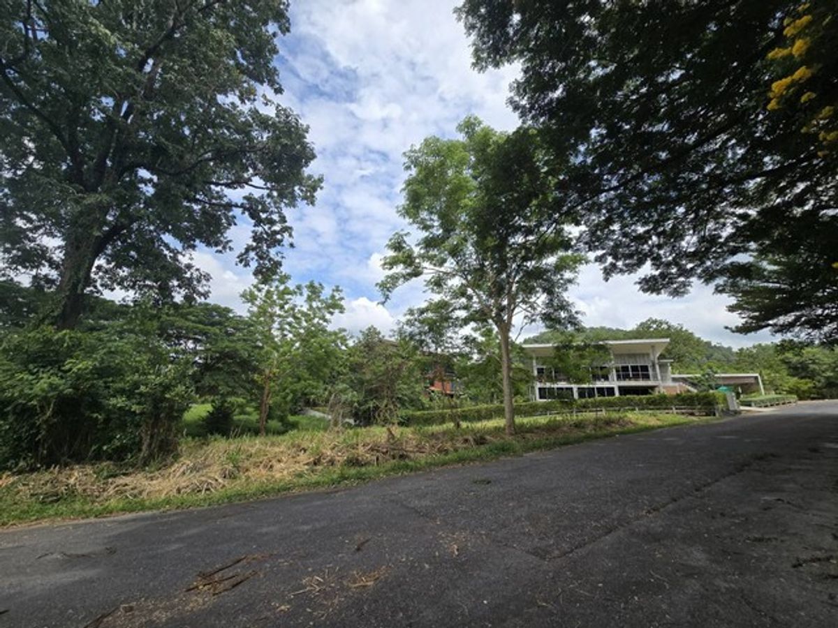 ขายที่ดินแปลงมุม 289.9 ตร.ว โครงการภูภัทรา ปากช่อง – เขาใหญ่ ติดถนน 2 ด้าน วิวธรรมชาติ ใกล้แหล่งท่องเที่ยว – รูปที่ 4