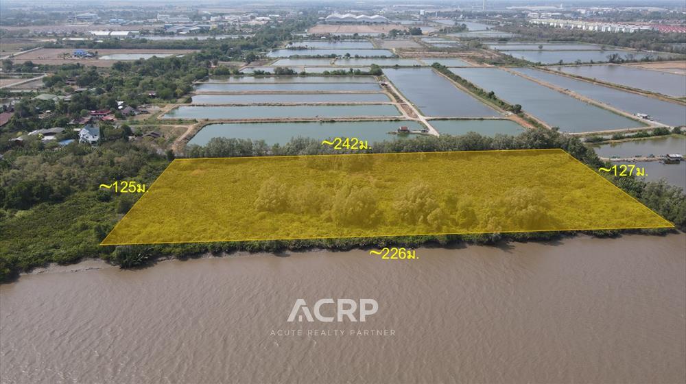 Land for sale on the Bang Pakong River, 18 rai. Land for sale on the Bang Pakong River, 18 rai.
