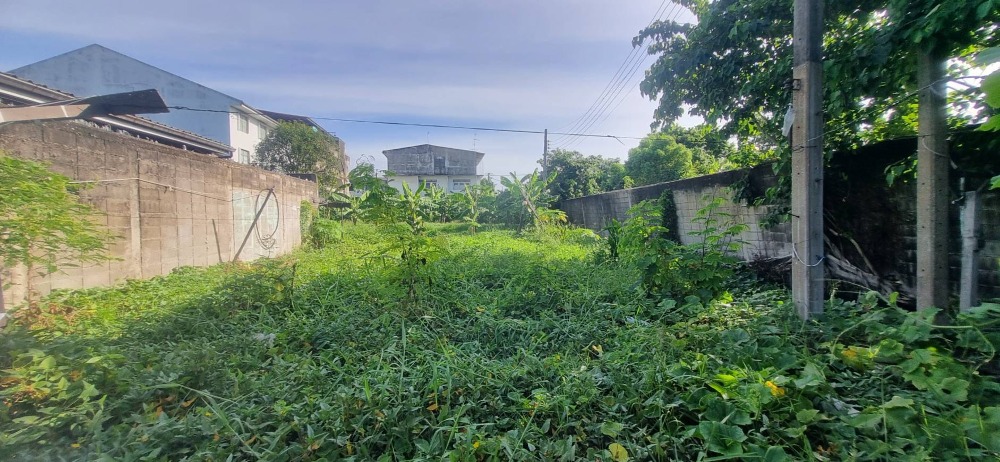 Urgent! Land for sale on Rama 2 Road, area 309 sq w, Rama 2 Road, close to the main road, only 6 minutes away! Urgent! Land for sale on Rama 2 Road, area 309 sq w, Rama 2 Road, close to the main road, only 6 minutes away!