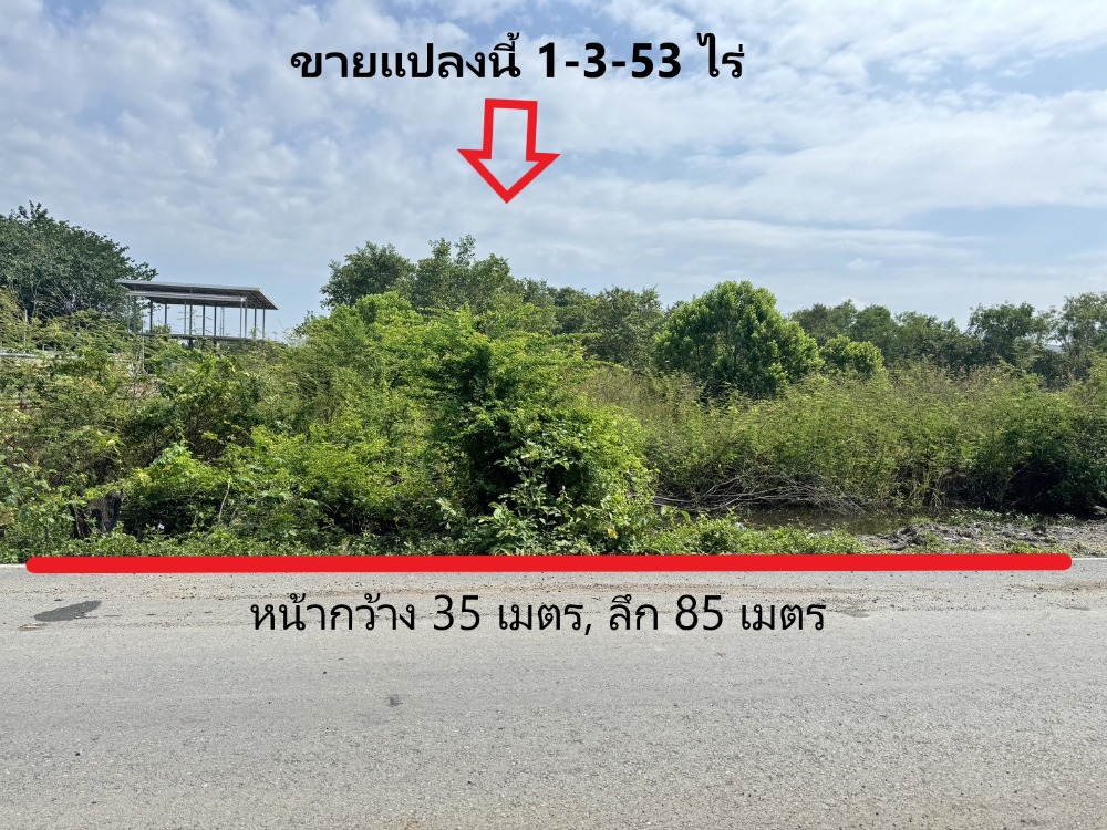 ขายที่ดินสามโคก 2 ไร่ ในซอยหมู่บ้านแดนทอง วิลเลจ (ซอยเทศบาล14) Ref. A01241102 – รูปที่ 2