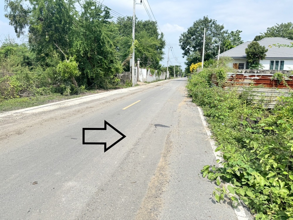 ขายที่ดินสามโคก 2 ไร่ ในซอยหมู่บ้านแดนทอง วิลเลจ (ซอยเทศบาล14) Ref. A01241102 – รูปที่ 3
