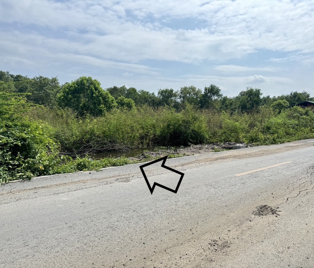 ขายที่ดินสามโคก 2 ไร่ ในซอยหมู่บ้านแดนทอง วิลเลจ (ซอยเทศบาล14) Ref. A01241102 – รูปที่ 4