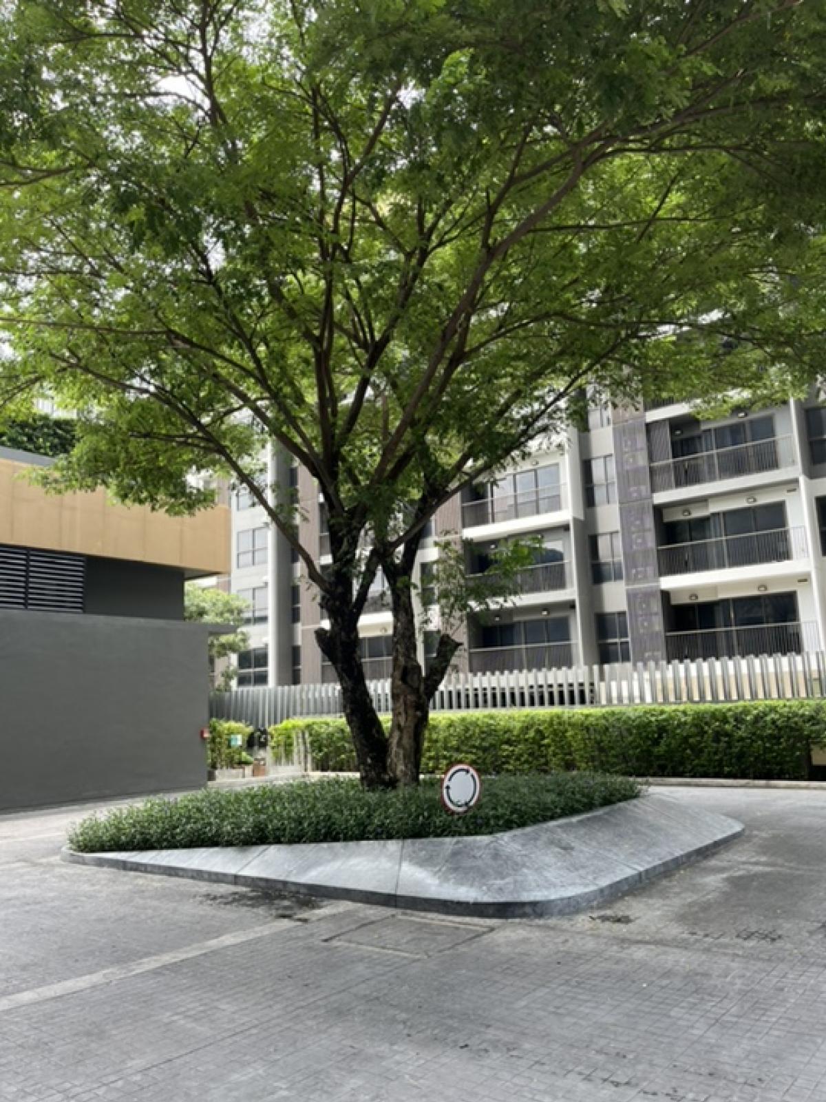 Condo for sale, Politan Rive Sanambinnam, Chao Phraya River view, Phra Nang Klao Bridge, 2 adjacent rooms, 24th floor – รูปที่ 2