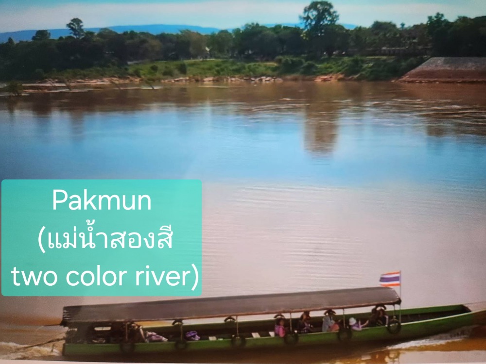 Land for 30 years long lease or sale PakMun River View, 1 rai, 1,975 baht per square wa, located in Ubon Ratchathani Province, on Highway No. 2222, Ban Pak Huai Khan, Kham Khuen Kaeo Subdistrict, Sirindhorn District. – รูปที่ 2