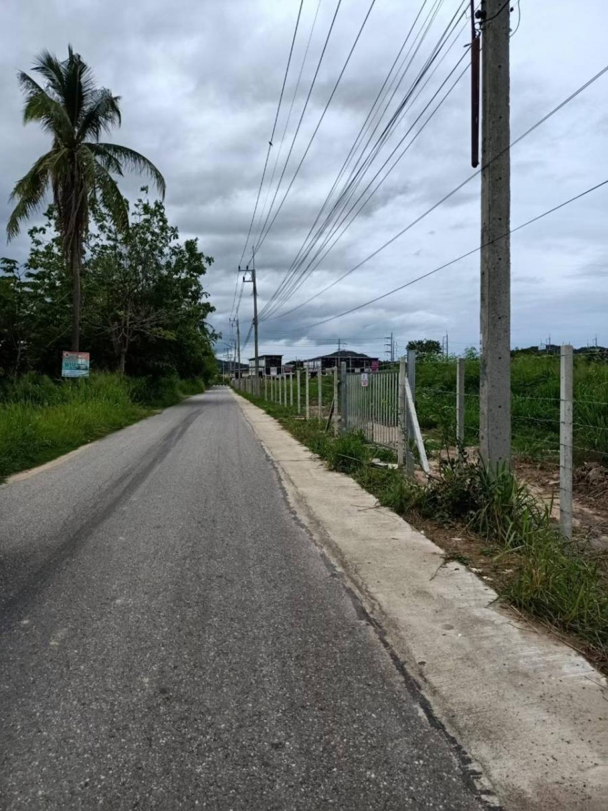 Beautiful plot of land for rent – รูปที่ 3