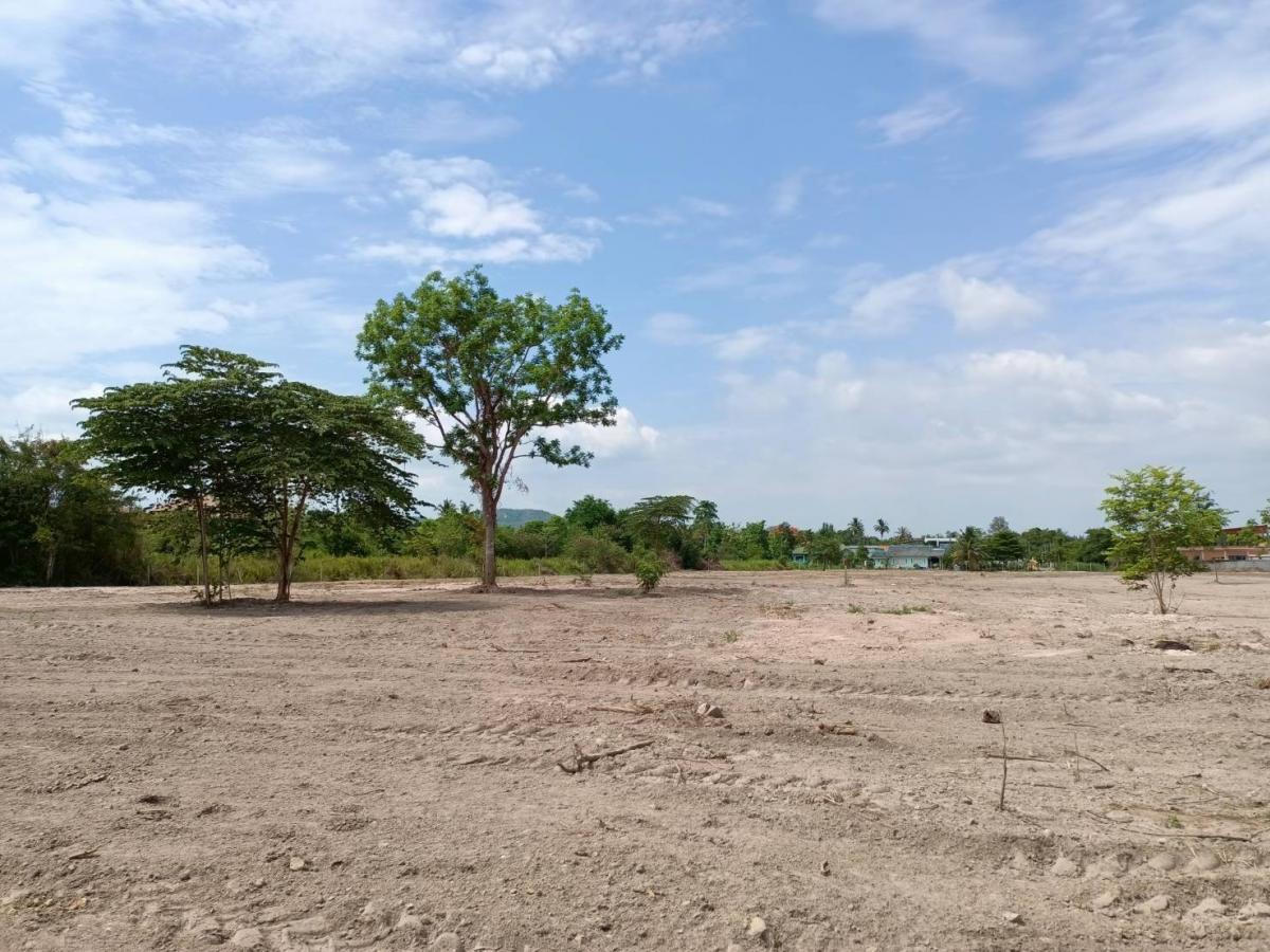 Beautiful plot of land for rent – รูปที่ 2