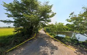 Land for sale, 6 rai, filled in, Tha Khai, Chachoengsao