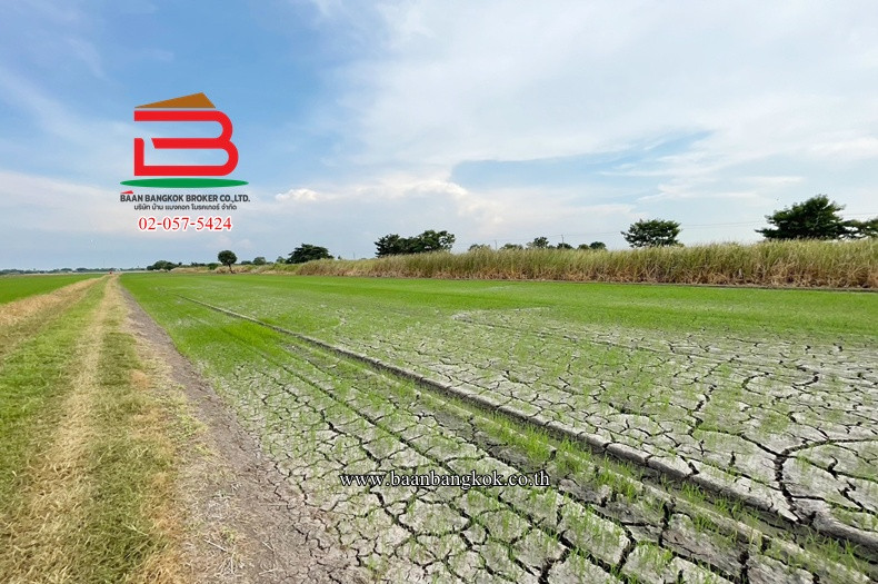 ที่ดินเปล่า เนื้อที่ 5 ไร่ ถนนคู้คลองสิบ แยก 12 แขวงคลองสิบ เขตหนองจอก – รูปที่ 2