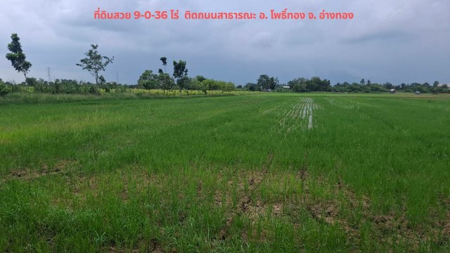 Cheap land for sale, 9-0-36 rai, suitable for self-sufficient farming, very natural atmosphere, Pho Thong District, Ang Thong Province