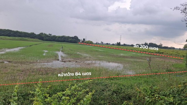 Cheap land for sale, 9-0-36 rai, suitable for self-sufficient farming, very natural atmosphere, Pho Thong District, Ang Thong Province – รูปที่ 3